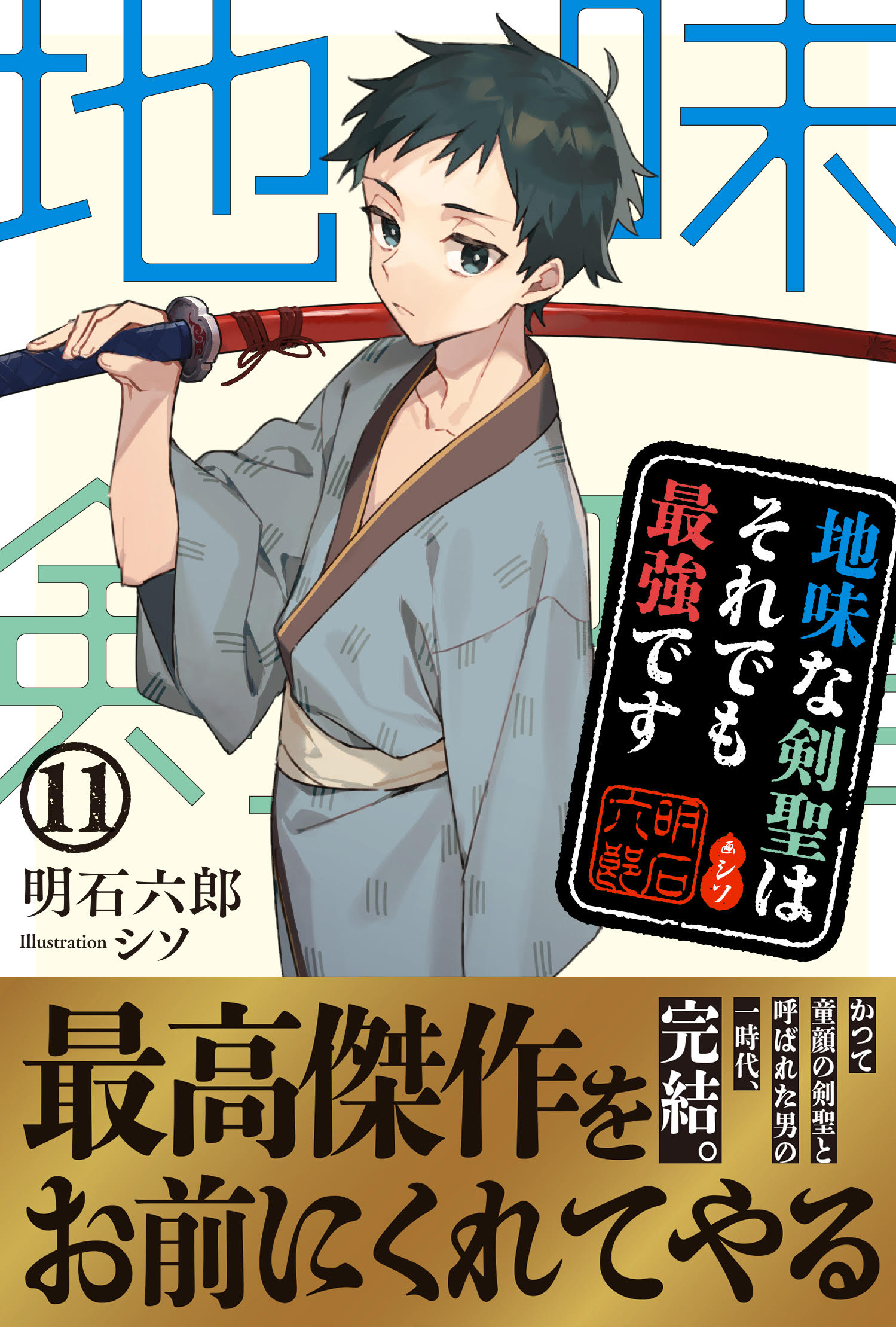 地味な剣聖はそれでも最強です11